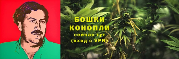 гидропоника Каменка