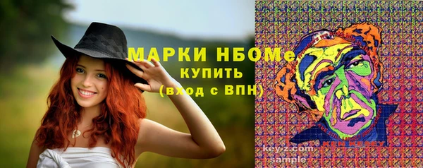 гидропоника Каменка