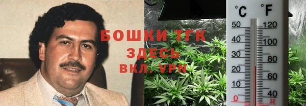 не бодяженный Каменногорск
