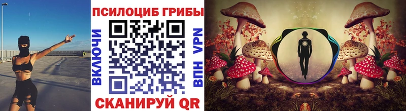 Купить  Заозёрный  Псилоцибиновые грибы Psilocybe 